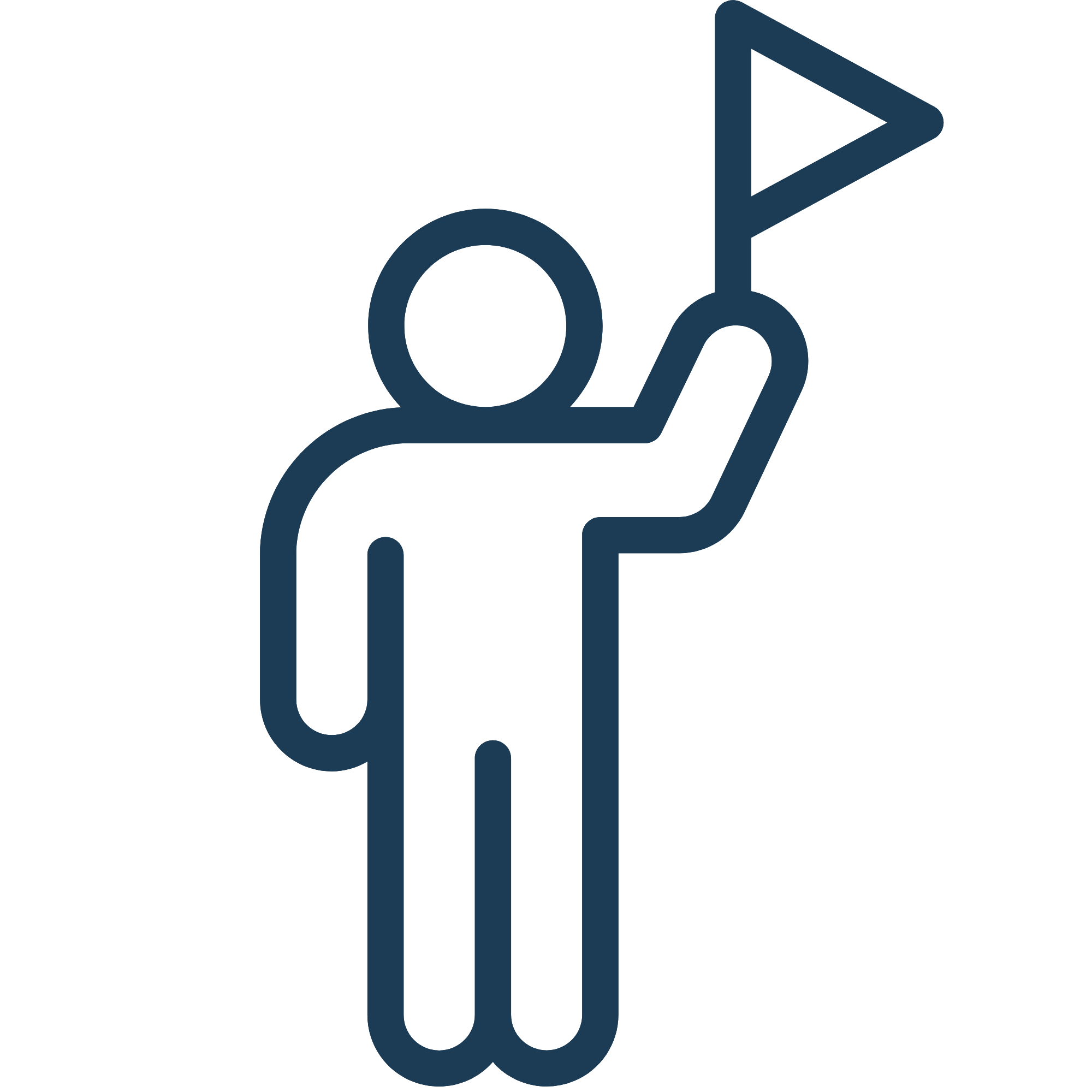 icon